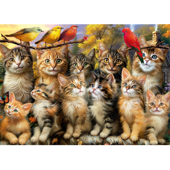 Educa Puzzel 500st Vogels en Katten
