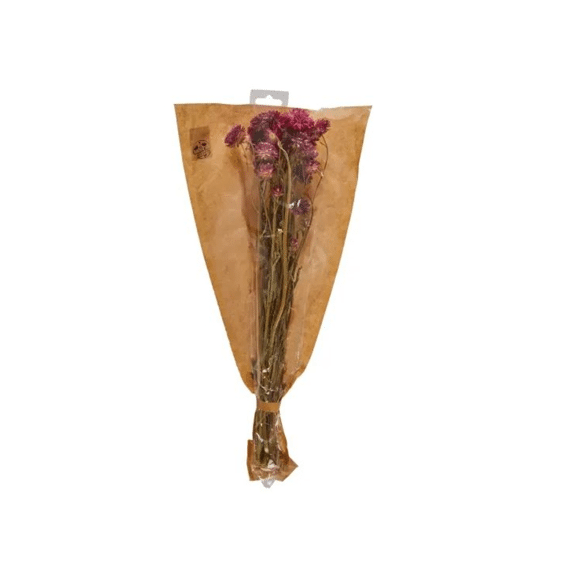 Droogbloemen Boeket Helichrysum 50cm Assortiment Prijs Per Stuk