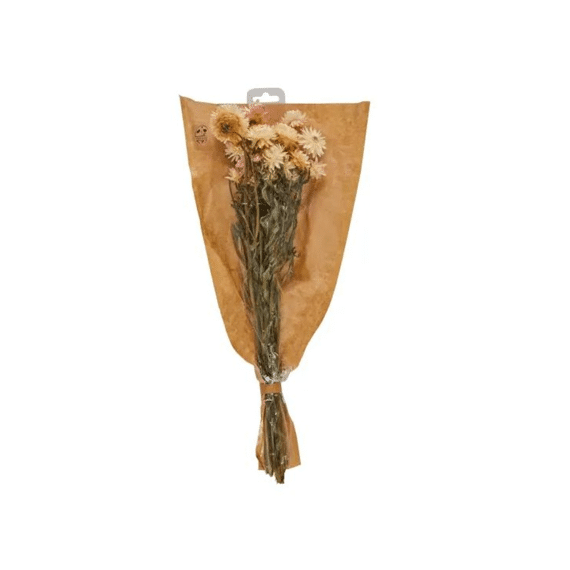 Droogbloemen Boeket Helichrysum 50cm Assortiment Prijs Per Stuk