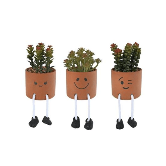 Bloempotje Smile met plantje 8,5x13cm Assortiment Prijs Per Stuk