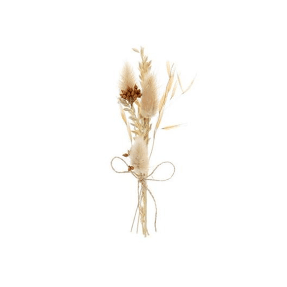 Marco Piket Droogbloemen 15cm Met Kleefstrip Ecru
