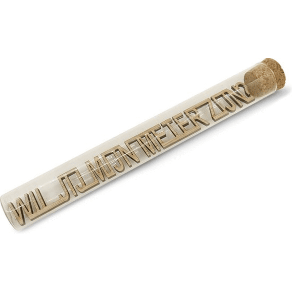 Message In A Bottle Groot Wil jij mijn meter zijn?