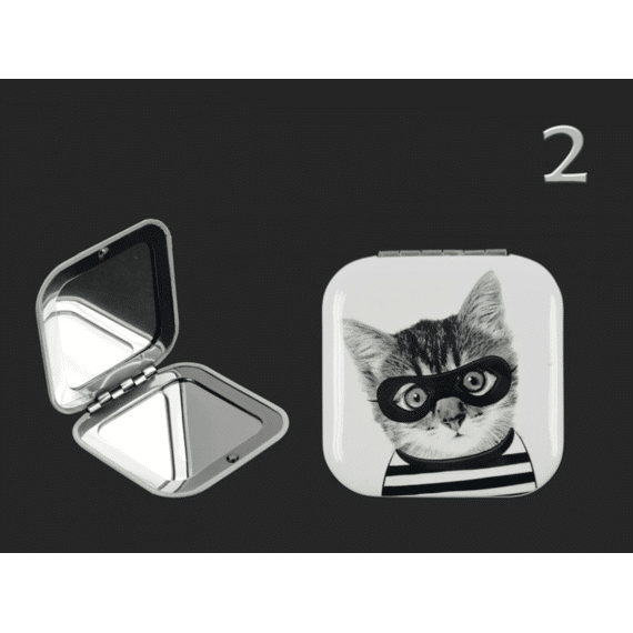 Zakspiegeltje Dogs and Cats ass
