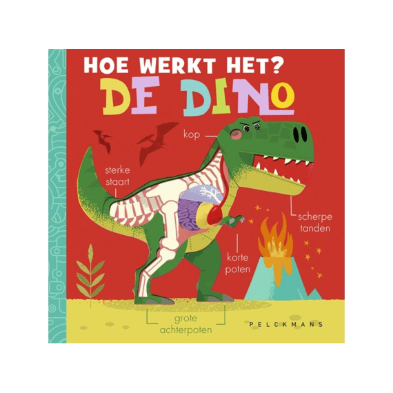 Hoe Werkt Het? De Dino