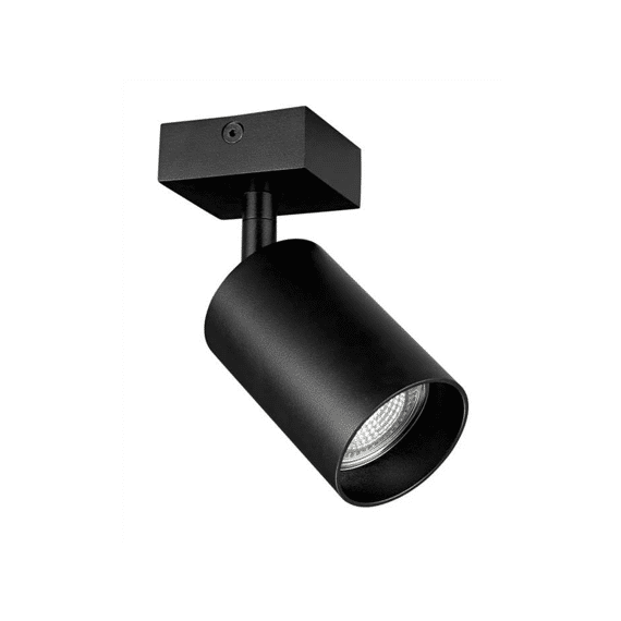 Fantasia Taboo Spot 1l Zwart