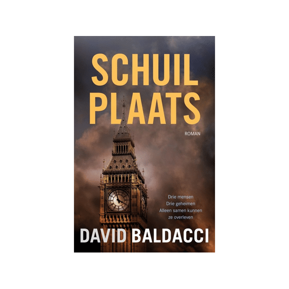 David Baldacci - Schuilplaats