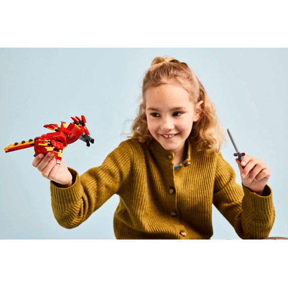 Lego Harry Potter Felix De Feniks Van Perkamentus 76448