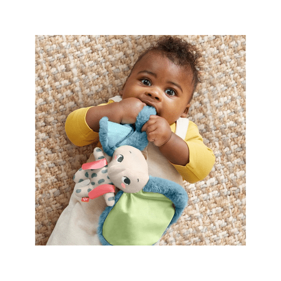 HKD63 Fisher-Price All Ears Lovey