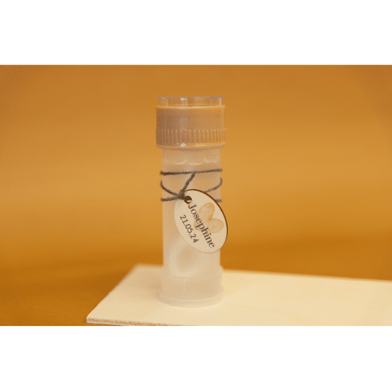 Vanhalst Houten Label Met Naam 12stuks