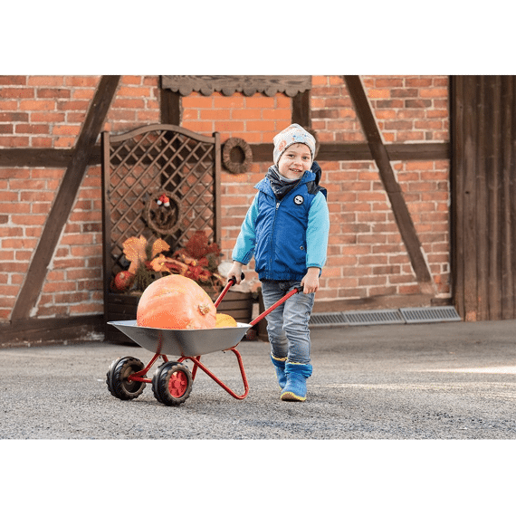 Rolly Kruiwagen Metaal Dubbele Wielen