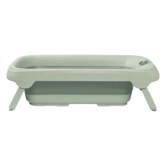 Maxi Cosi Badje + Newborn Seat Indigo Sage Green