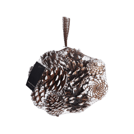 Dennenappel Set 300 Gram Wit