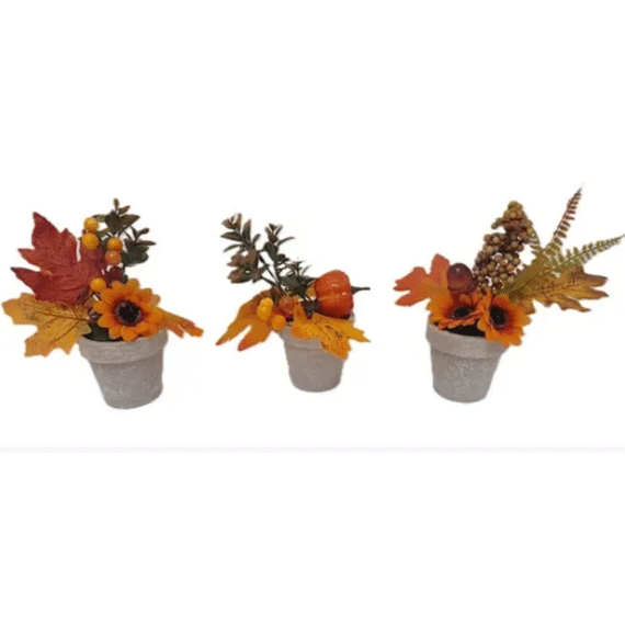Herfstplant In Pot 21cm Assortiment