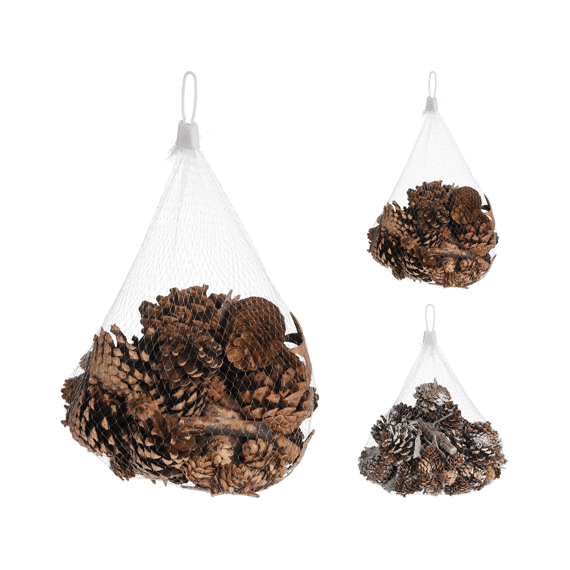 Dennenappels Met Boomschors Assortiment