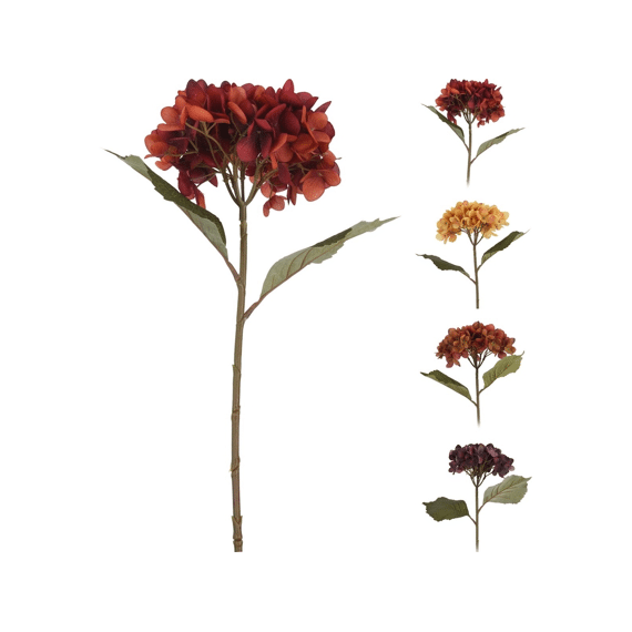 Hortensia 60cm Assortiment