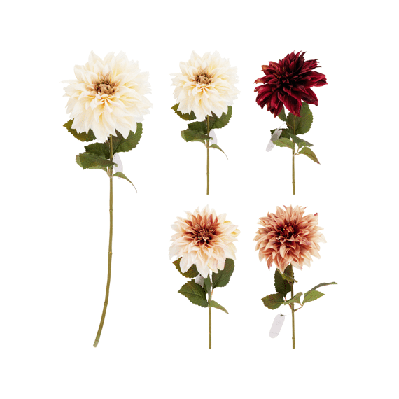 Dahlia Dia 16cm 73cm Assortiment