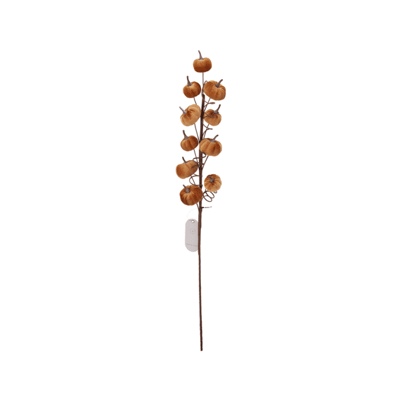 Pompoen Tak 70cm Assortiment