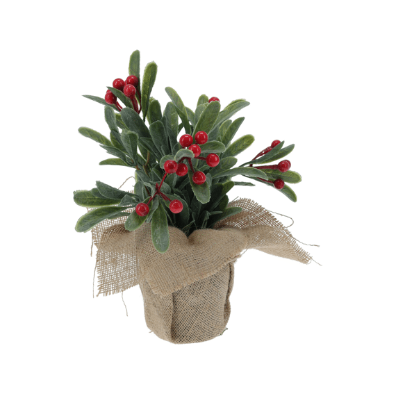 Plant Met Bessen In Jute Pot