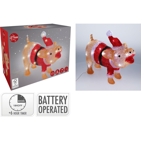 Varken 30cm Met Led Acryl