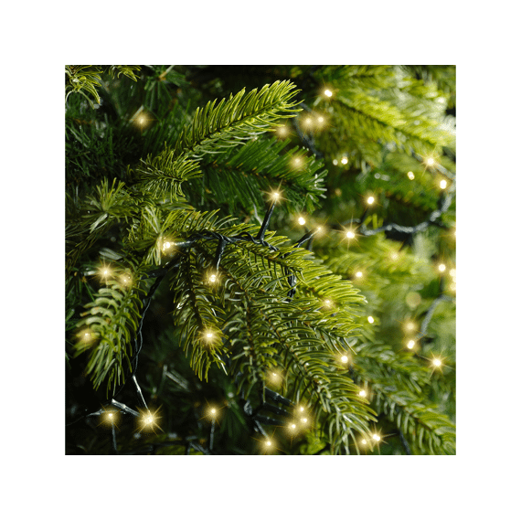 Lumineo Led Compact Lights 60m 3000 leds Groen/soft Gold