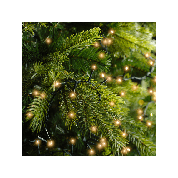 Lumineo Led Compact Lights 60m 3000 leds Groen/klassiek Warm
