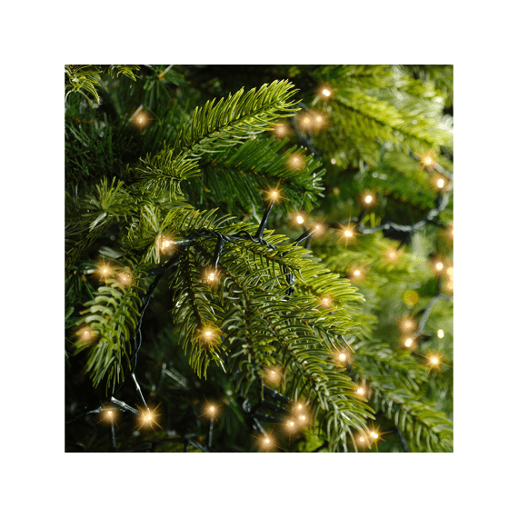 Lumineo Led Compact Lights Twinkle 60m 3000 ledsGroen/klassiek Warm