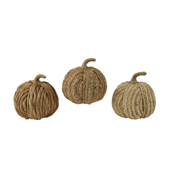 Pompoen Waterhyacint 18cm Assortiment/3 Prijs Per Stuk