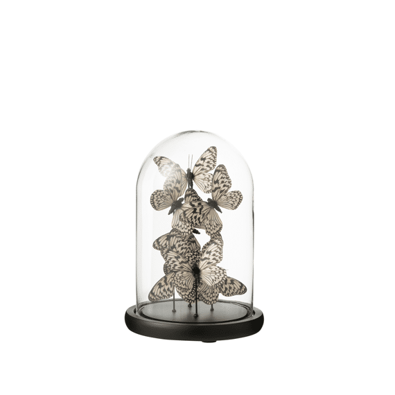 J-line Vlinder Glas Zwart/wit 26cm
