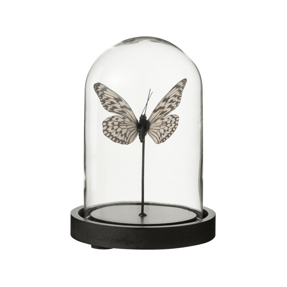 J-line Vlinder Glas Zwart/wit 16cm
