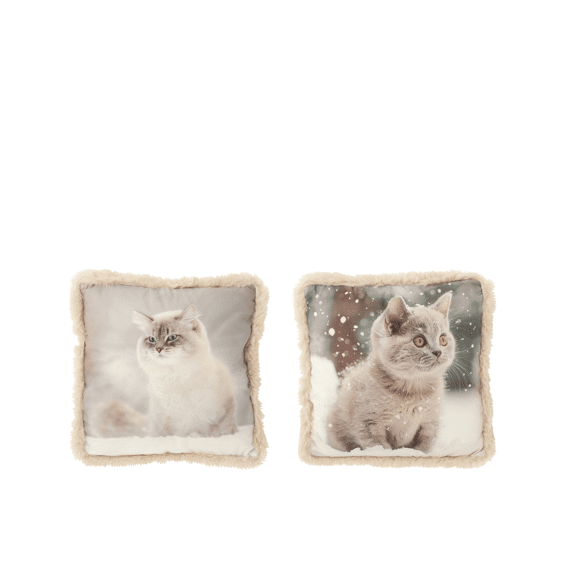 J-line Kussen Kat Grijs/wit 40x40cm Assortiment