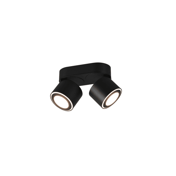 Trio Plafonniere Taurus incl. 2 X LED 5 Watt 3000K 450 Lm.