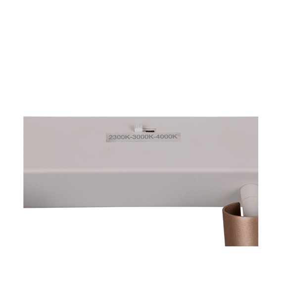 Trio Spot Ambala incl. 3 X LED 5.5 Watt 2300+3000+4000K 500 Lm