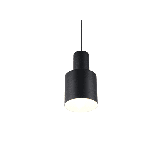 Trio Hanglamp Agudo 1xe27 Max.10 W