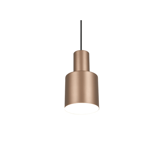 Trio Hanglamp Agudo 1xe27 Max.10 W