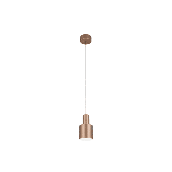 Trio Hanglamp Agudo 1xe27 Max.10 W