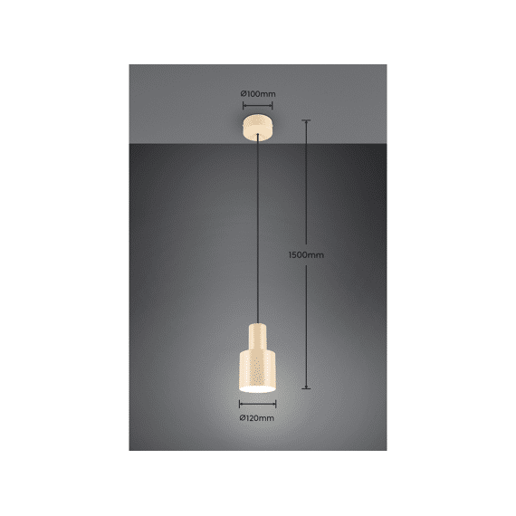 Trio Hanglamp Agudo 1xe27 Max.10 W