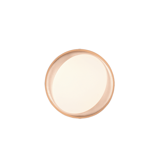 Reality Plafonniere Zeta incl. 1 X LED 24 Watt 2700 - 6500K 2500 Lm.