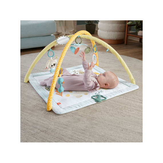 Fisher-price Simply Senses Newborn Gym