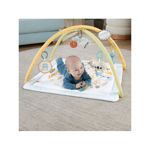 Fisher-price Simply Senses Newborn Gym