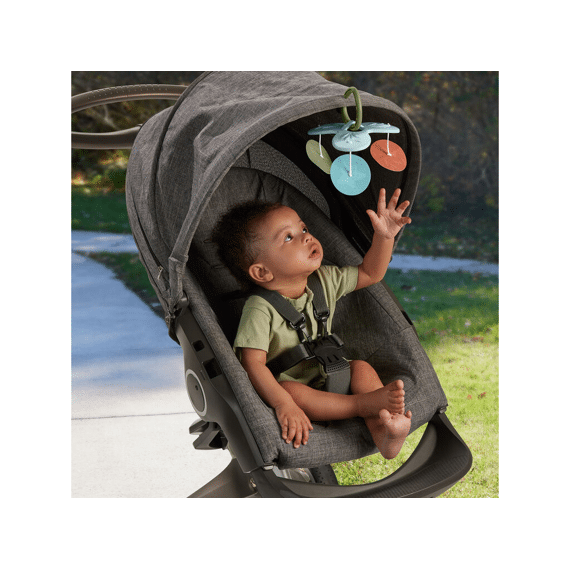 Fisher-price Simply Senses Newborn Gym