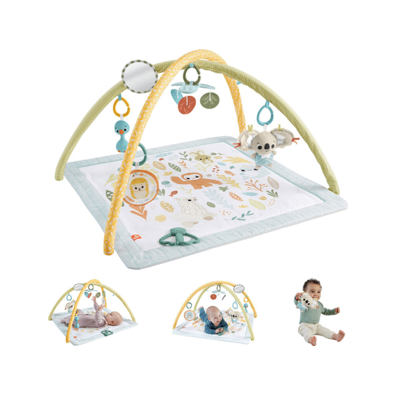 Fisher-price Simply Senses Newborn Gym