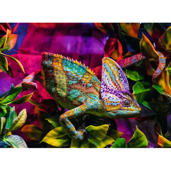 Ravensburger Puzzel 500 Stuks Colorful Animals Chameleon