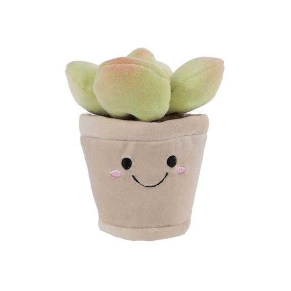 Take Me Home Plant Pluche S 4ass 13cm