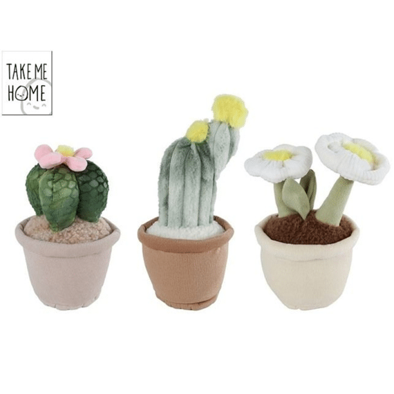 Take Me Home Plant Woestijnplant Pluche L 3ass 25cm