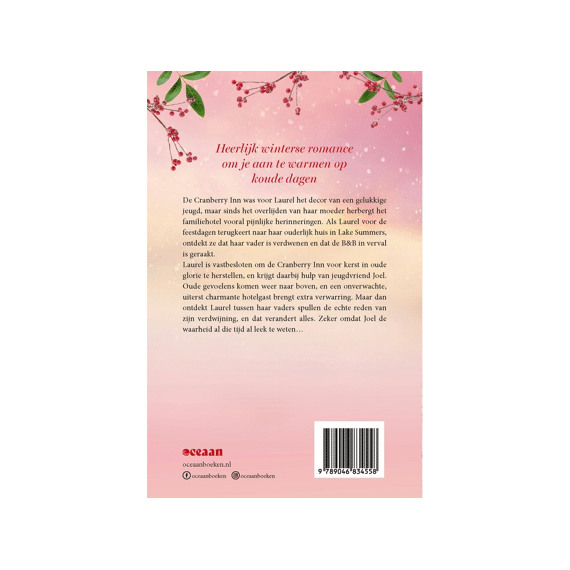 Barbara Josselsohn - Winter In De Cranberry Inn