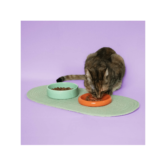 Eetkom Funky Feeding 50/280ml-13.5x13.5x6cm Groen/oranje