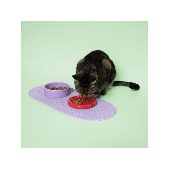 Eetkom Funky Feeding 50/280ml-13.5x13.5x6cm Rood/paars