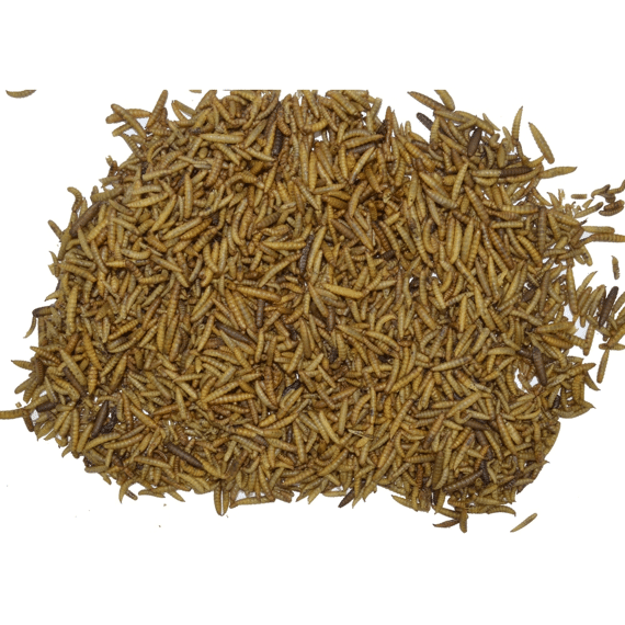 Energie Larves - Garden Heroes Emmer 1,5 Kg