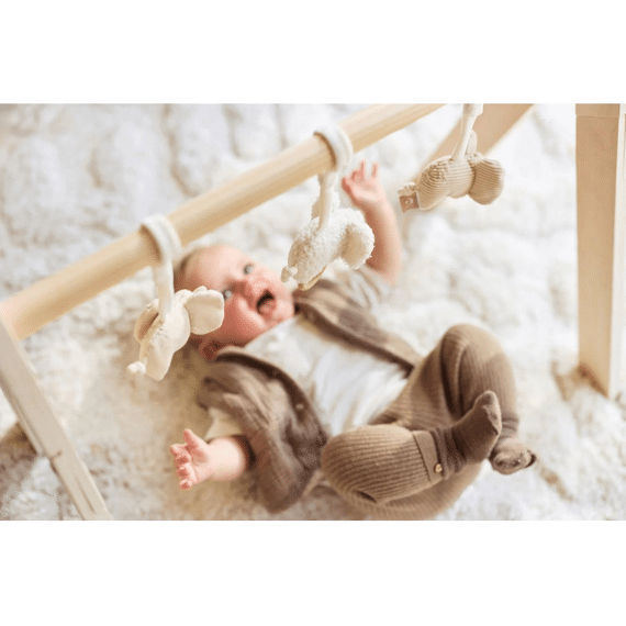 Jollein Babygym Speeltjes Elephant Tales