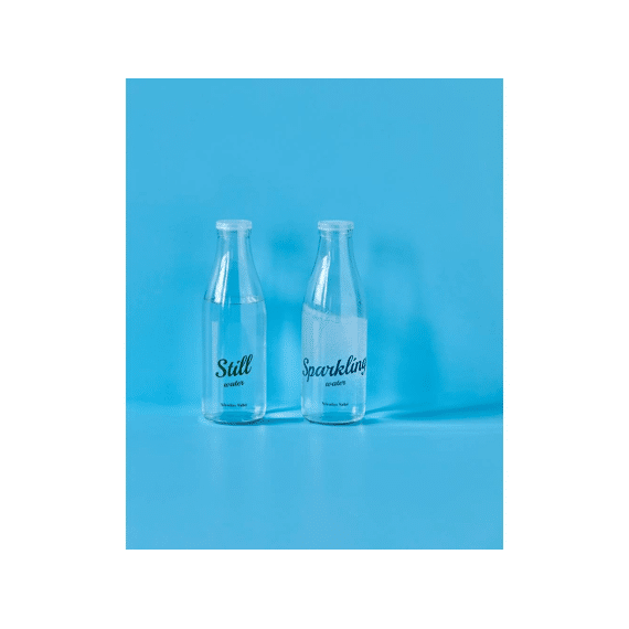 Nicolas Vahe Fles Met Dop 2 Stuks